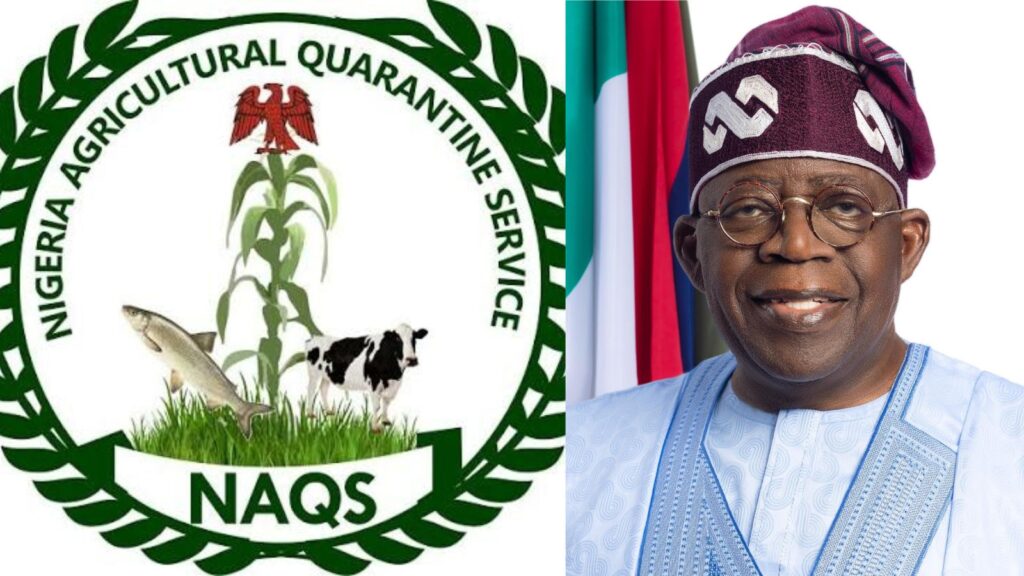 The Nigeria Agriculture Quarantine Service (NAQS) Recruitment 2026 How To Apply